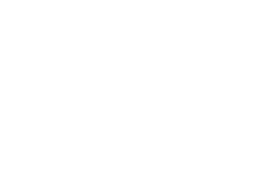 Suzeni Organizasyon
